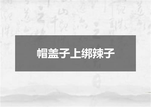 帽盖子上绑辣子