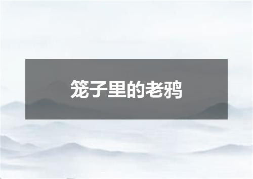 笼子里的老鸦