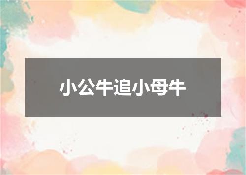 小公牛追小母牛