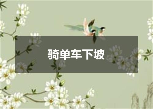 骑单车下坡