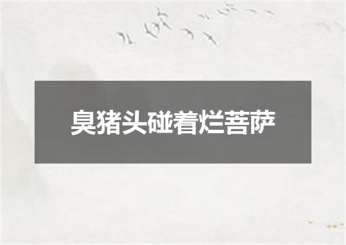 臭猪头碰着烂菩萨