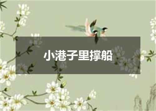 小港子里撑船