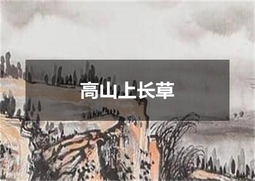 高山上长草