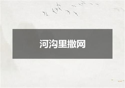 河沟里撒网