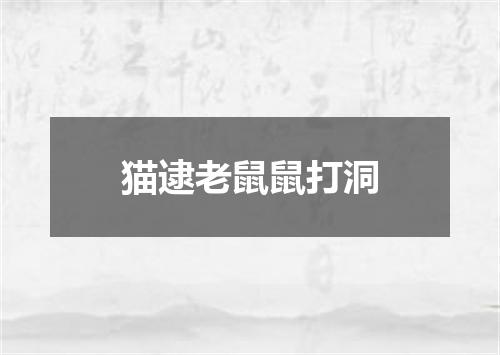 猫逮老鼠鼠打洞
