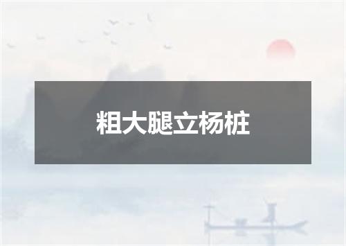 粗大腿立杨桩
