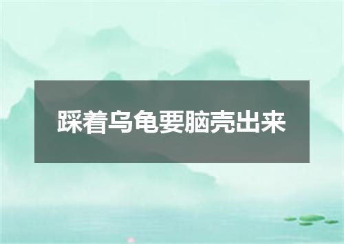 踩着乌龟要脑壳出来