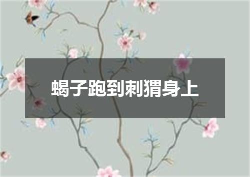 蝎子跑到刺猬身上