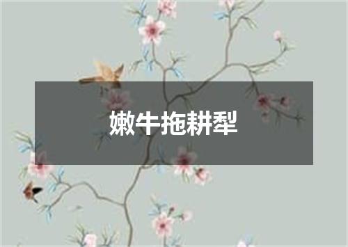 嫩牛拖耕犁