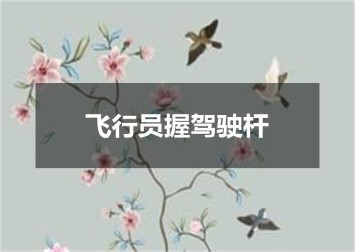飞行员握驾驶杆