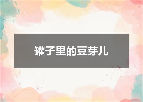 罐子里的豆芽儿