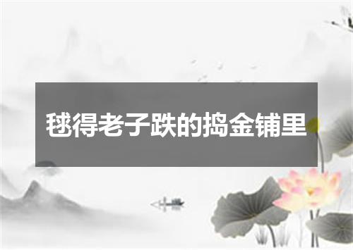 毬得老子跌的捣金铺里