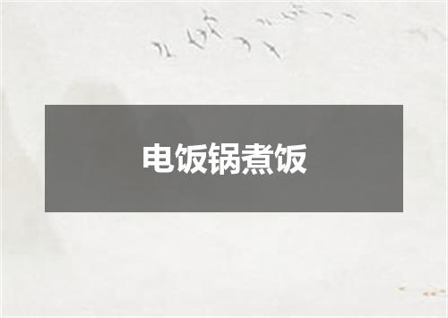 电饭锅煮饭