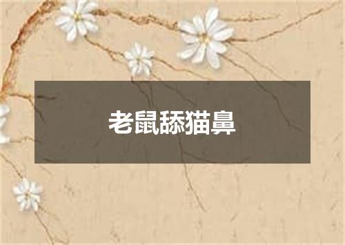 老鼠舔猫鼻