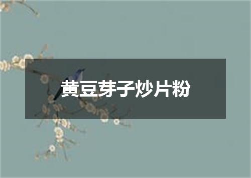 黄豆芽子炒片粉