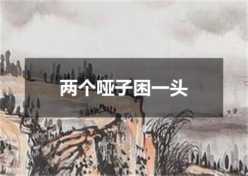 两个哑子困一头