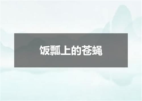 饭瓢上的苍蝇