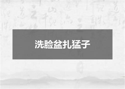 洗脸盆扎猛子