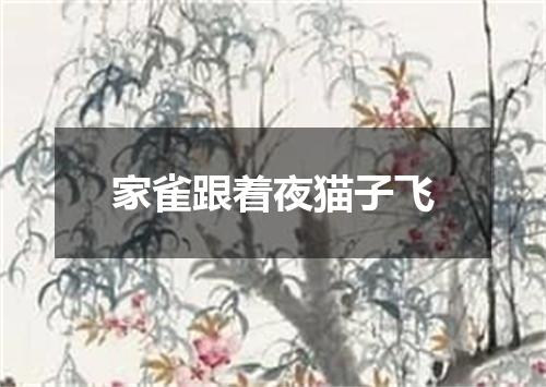 家雀跟着夜猫子飞