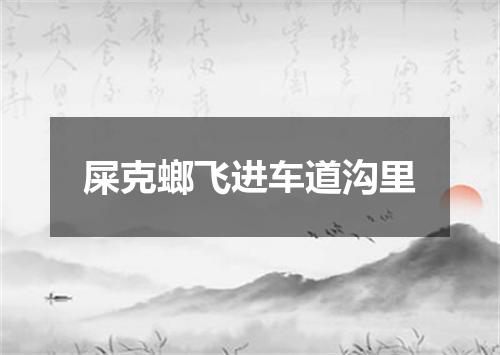 屎克螂飞进车道沟里