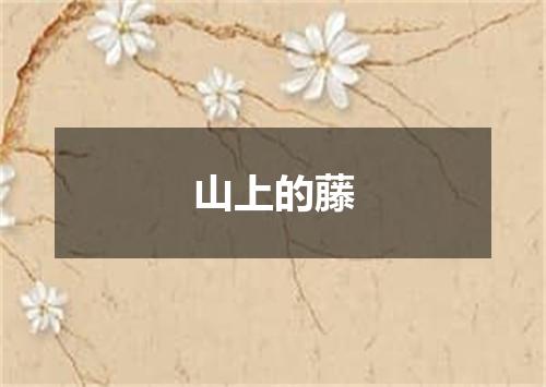 山上的藤
