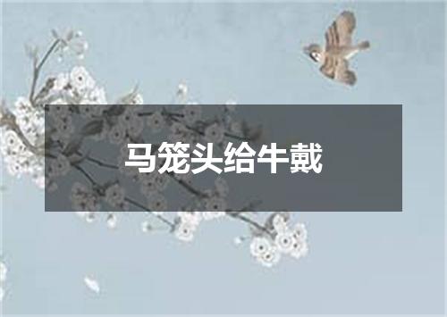 马笼头给牛戴