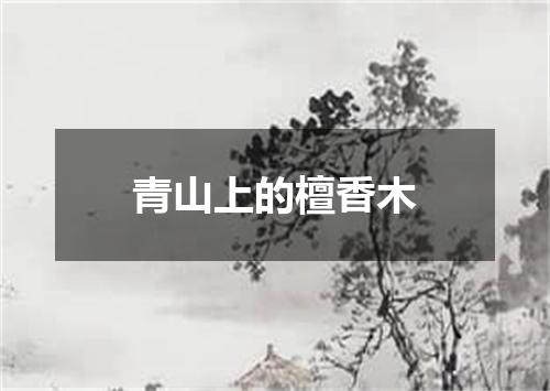青山上的檀香木