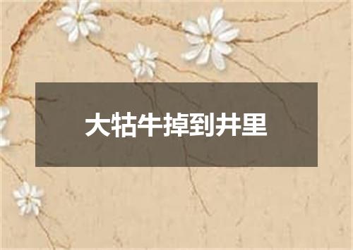 大牯牛掉到井里