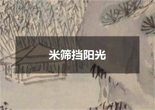 米筛挡阳光