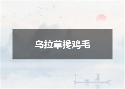 乌拉草搀鸡毛
