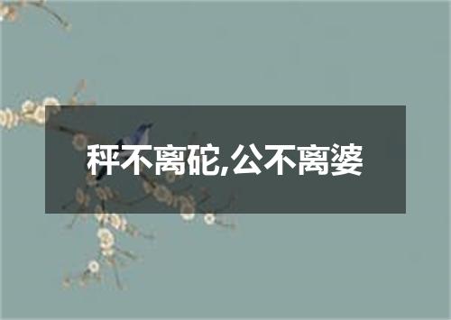 秤不离砣,公不离婆