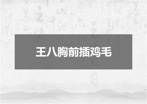 王八胸前插鸡毛