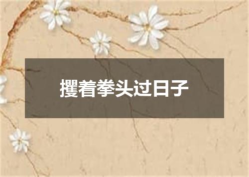 攫着拳头过日子