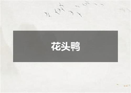 花头鸭
