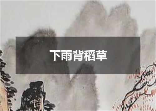 下雨背稻草