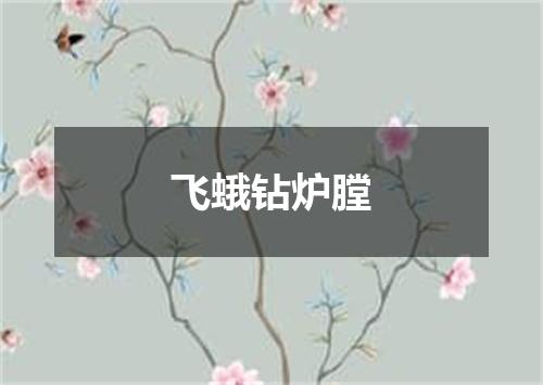 飞蛾钻炉膛