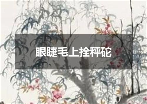 眼睫毛上拴秤砣