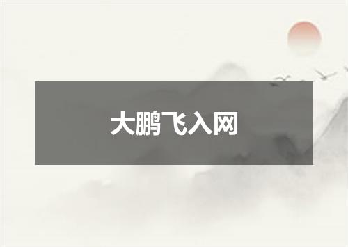 大鹏飞入网