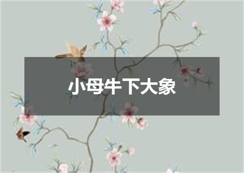 小母牛下大象