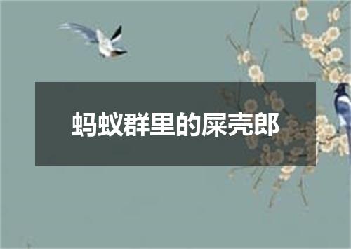 蚂蚁群里的屎壳郎