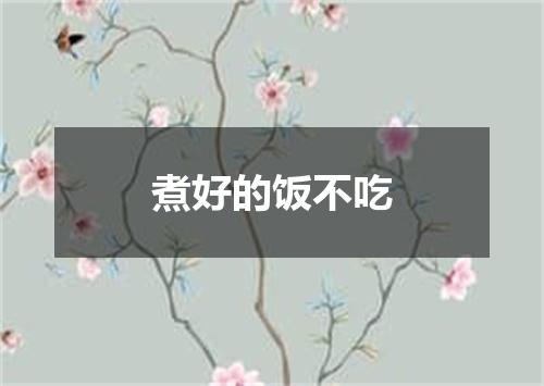 煮好的饭不吃