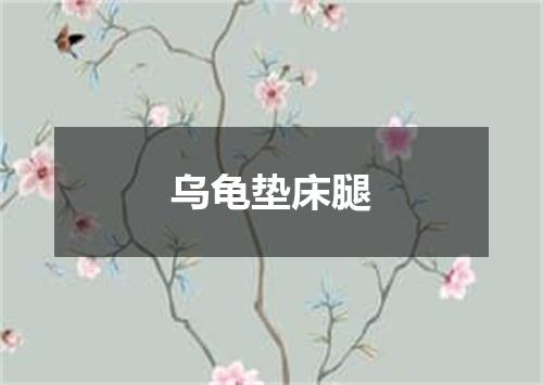 乌龟垫床腿