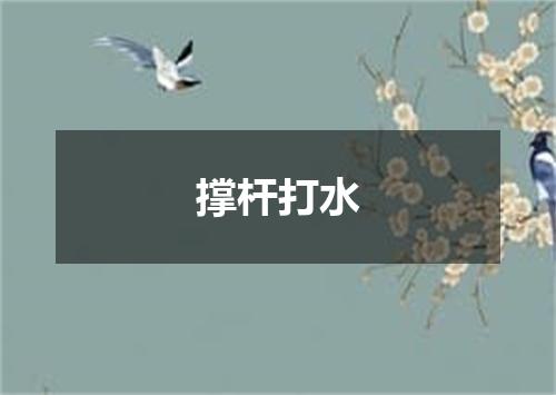 撑杆打水