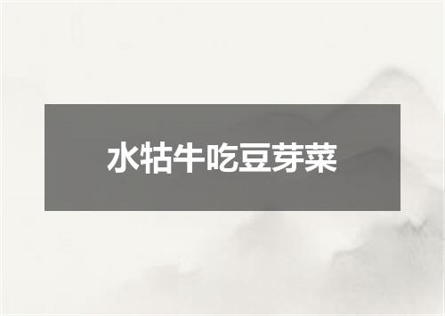 水牯牛吃豆芽菜