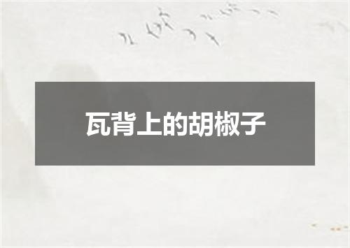 瓦背上的胡椒子