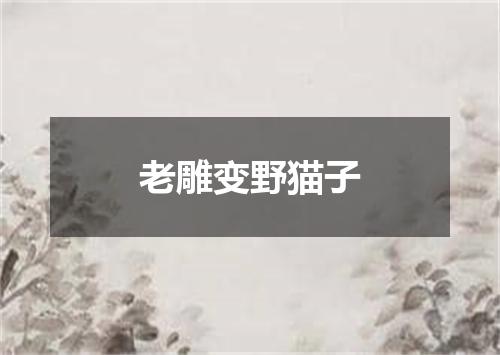 老雕变野猫子