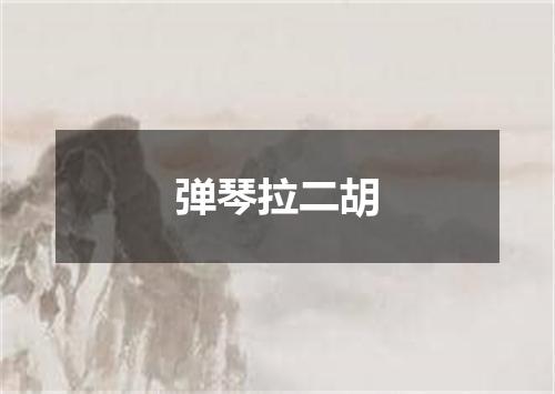 弹琴拉二胡