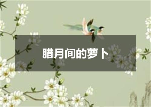 腊月间的萝卜