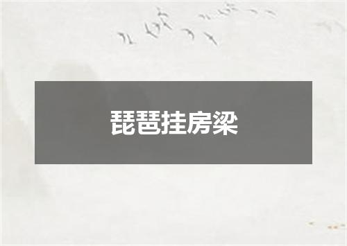 琵琶挂房梁