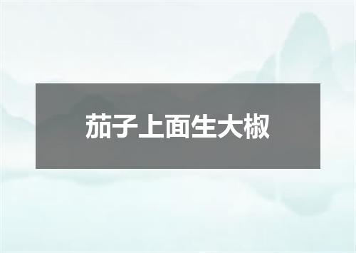 茄子上面生大椒